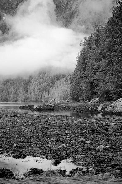 Low Tide.jpg